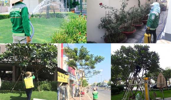 Chuyên Thi Công Cảnh Quan