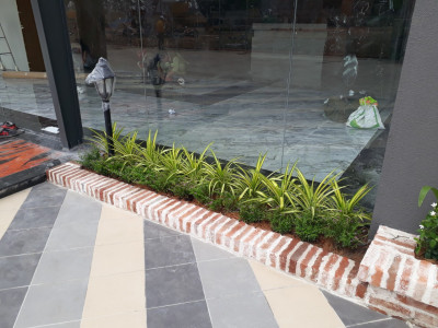 Thiết kế và thi công cảnh quan Nhà mẫu Bcons Green View