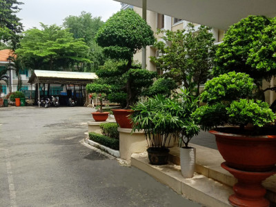 Bảo dưỡng cảnh quan Văn Phòng Sở Ngoại Vụ TP.HCM